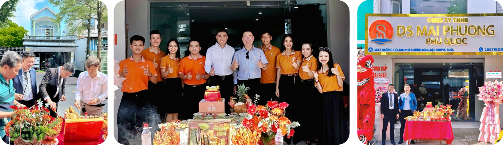 div.focal app assets grid 3